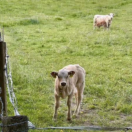 Bergisch Helle Apartman