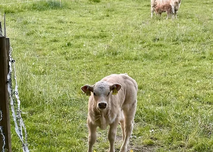 Bergisch Helle 公寓